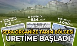 Sera Organize Tarım bölgesi üretime başladı
