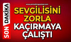 Sevgilisini zorla kaçırmaya çalıştı