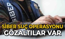 Siber suç operasyonu: Gözaltılar var