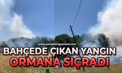 Bahçede çıkan yangın ormana sıçradı