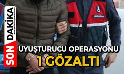 Uyuşturucu operasyonu bir gözaltı