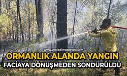 Ormanlık alanda yangın faciaya dönüşmeden söndürüldü
