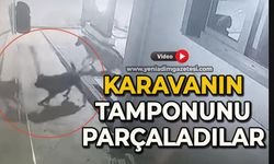 Sokak köpekleri karavanın tamponunu parçaladı