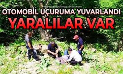 Otomobil uçuruma yuvarlandı: Yaralılar var
