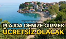 Plajda denize girmek ücretsiz olacak