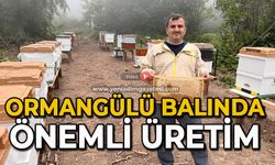 Ormangülü balında önemli üretim