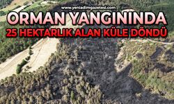 Orman yangınında 25 hektarlık alan küle döndü
