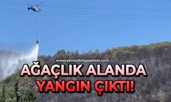Ağaçlık alanda yangın çıktı!