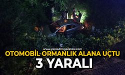 Otomobil ormanlık alana uçtu: 3 yaralı