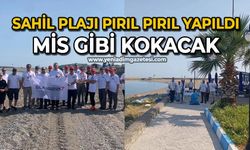Sahil plajı pırıl pırıl yapıldı mis gibi kokacak