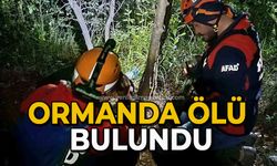Ormanda ölü bulundu