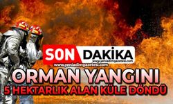 Orman yangını: 5 hektarlık alan küle döndü