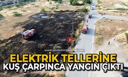 Elektrik tellerine kuş çarpınca yangın çıktı