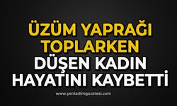 Üzüm yaprağı toplarken düşen kadın hayatını kaybetti
