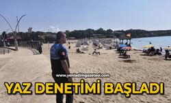 Yaz denetimi başladı