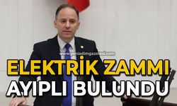 Elektrik zammı ayıplı bulundu