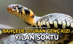 Bahçede oturan genç kızı yılan soktu