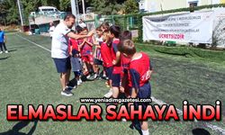 Elmaslar sahaya indi