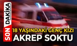 18 yaşındaki genç kızı akrep soktu