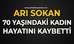 Arı sokan 70 yaşındaki kadın hayatını kaybetti