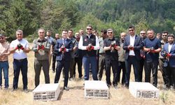 500 keklik doğaya salındı