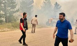 AK Parti Karabük Milletvekili Şahin "Bu, Karabük tarihinin en büyük yangını"
