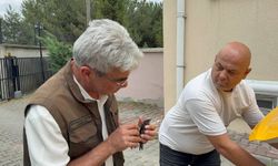 Bitkin halde bulunan ebabil kuşu tedavi altına alındı