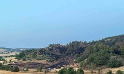 Bolu’daki orman yangını kontrol altına alındı
