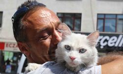 Kayıp kedisine günler sonra kavuştu, bu kez mutluluktan ağladı