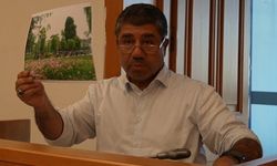 Kişi başına 29 metrekare yeşil alan düşüyor