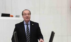 Orman köylüleri için çağrı