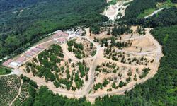 Sokak hayvanlarına tabiatla iç içe yaşam alanı