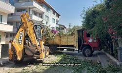 Bitkisel atıklar komposta dönüştürülerek geri kazanılıyor
