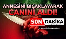 Annesini bıçaklayarak canını aldı!
