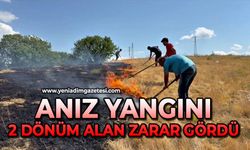Anız yangını: 2 dönüm alan zarar gördü