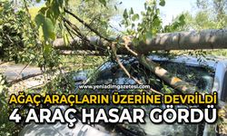 Ağaç araçların üzerine devrildi: 4 araç hasar gördü