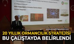 20 yıllık ormancılık stratejisi bu çalıştayda belirlendi