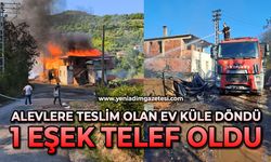 Alevlere teslim olan ev küle döndü: 1 eşek telef oldu