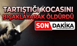 Kadın tartıştığı kocasını bıçaklayarak canına kıydı