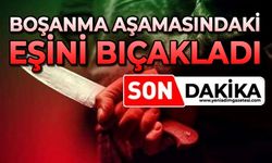 Boşanma aşamasındaki eşini bıçakladı