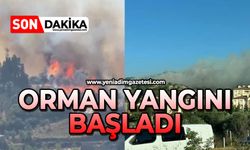 Orman yangını başladı