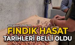 Fındık hasat tarihleri belli oldu