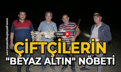 Çiftçilerin "beyaz altın" nöbeti