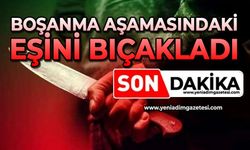 Boşanma aşamasındaki eşini bıçakladı