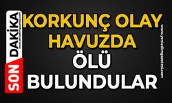 Korkunç olay: Havuzda ölü bulundular