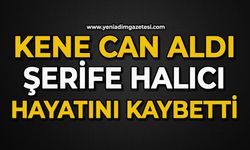 Kene can aldı: Şerife Halıcı hayatını kaybetti
