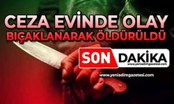 Ceza evinde olay: Bıçaklanarak öldürüldü