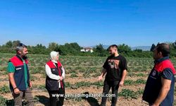 Genç çiftçiden örnek tarım uygulaması