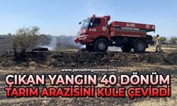 Çıkan yangın 40 dönüm tarım arazisini kule çevirdi