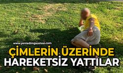 Çimlerin üzerinde hareketsiz yattılar